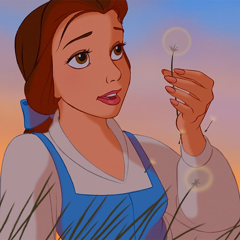 Belle Y