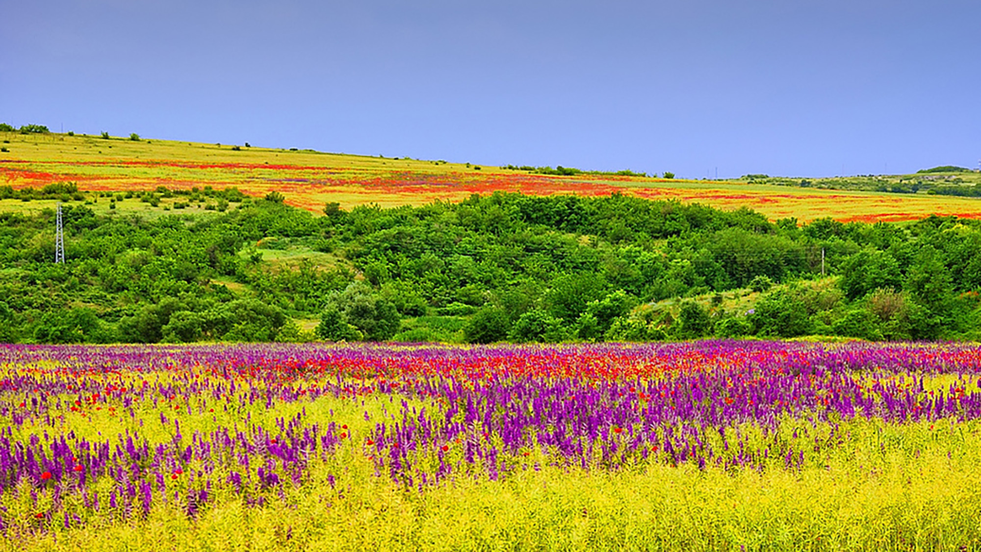 Amazing landscapes bursting with springtime beauty | OverSixty