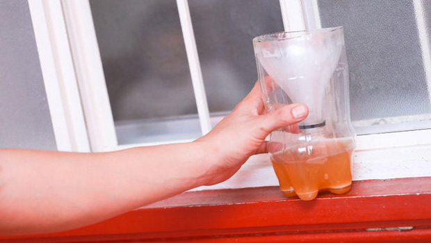 How to make your own mosquito trap